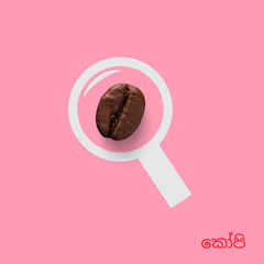 coffee srilanka ceylon curry veil wedding gift present party bookkeeping study