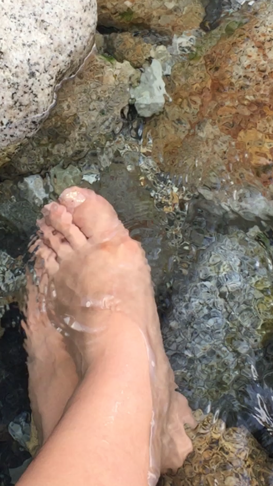 coffee,srilanka,ceylon,curry,veil,wedding,gift,present,paty